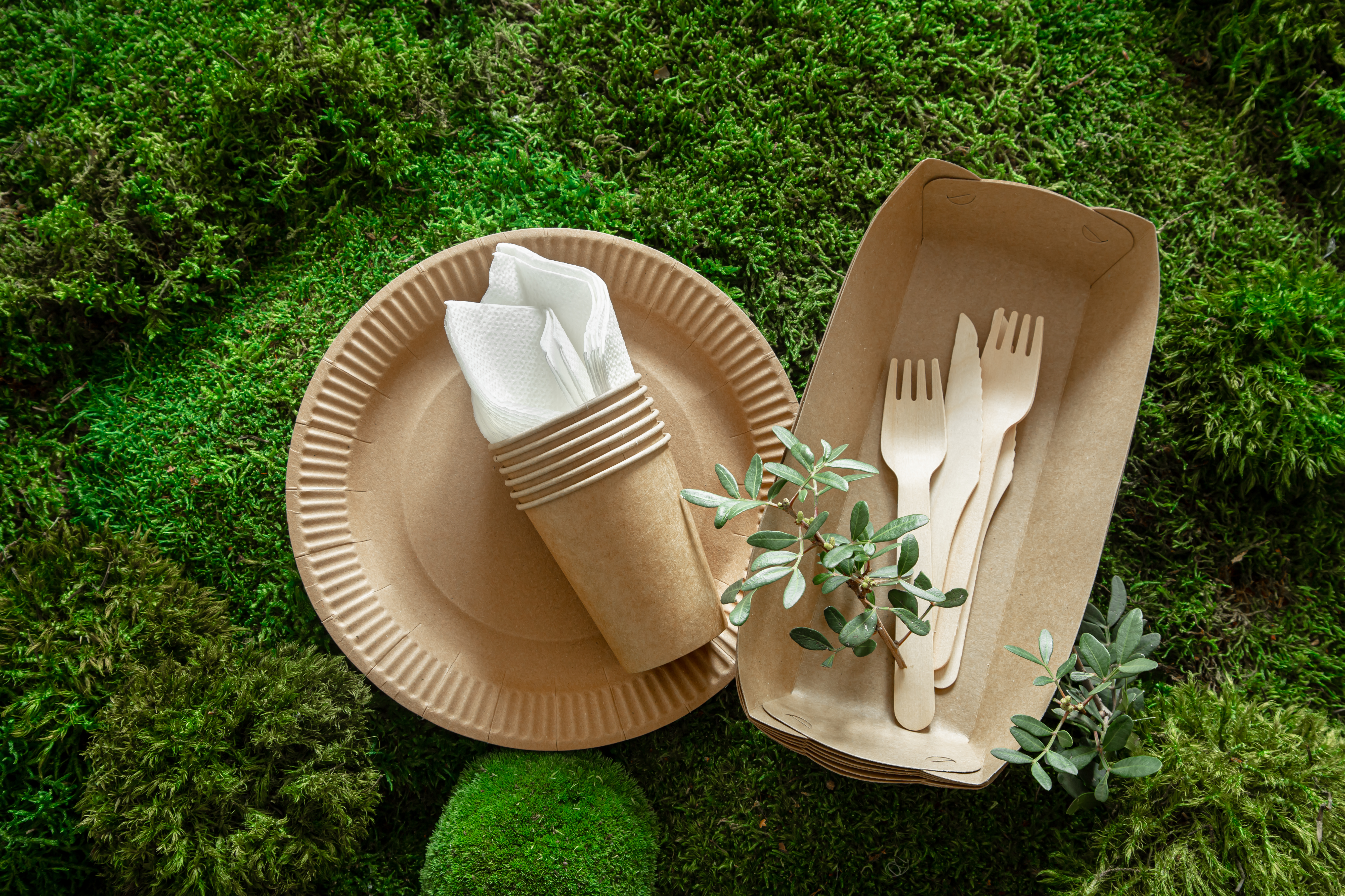 Restauração Ecológica